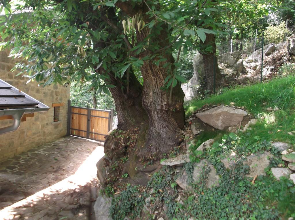 Agriturismo Ai Ronchi Sorico Zewnętrze zdjęcie