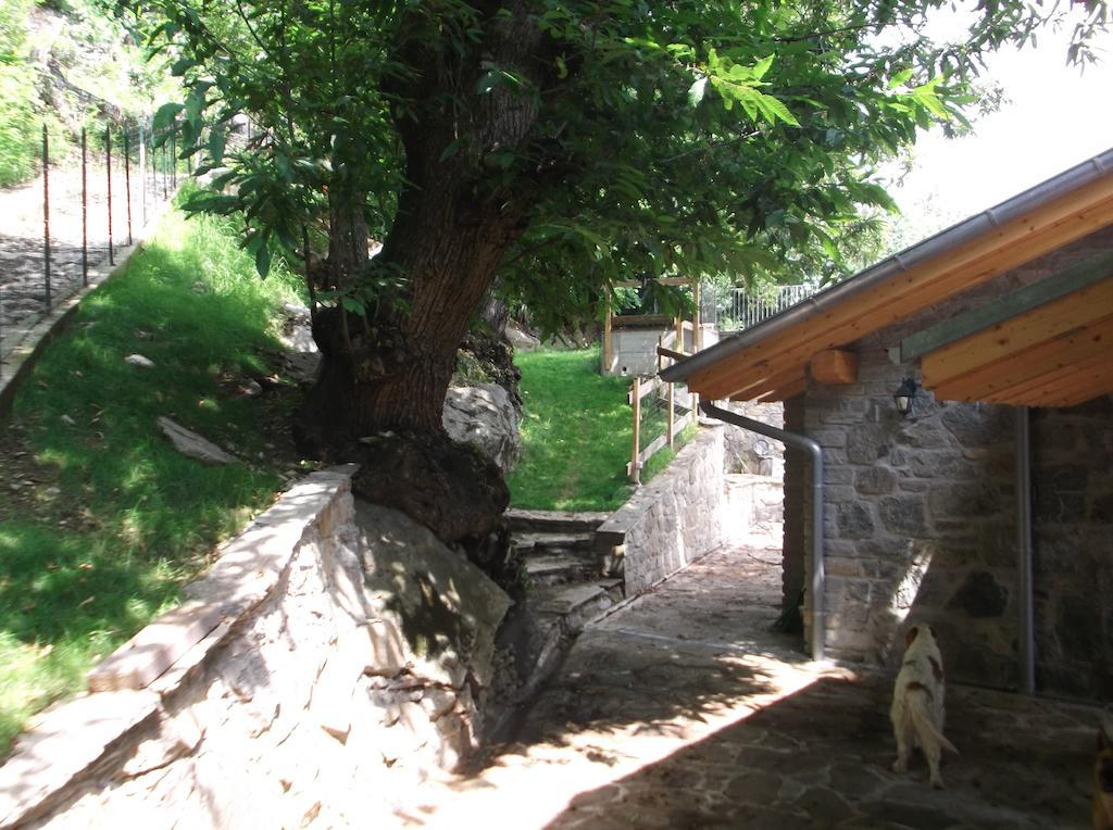 Agriturismo Ai Ronchi Sorico Zewnętrze zdjęcie